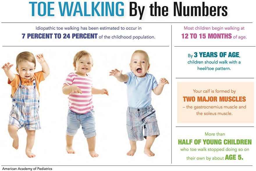 Toe Walkers by the Numbers