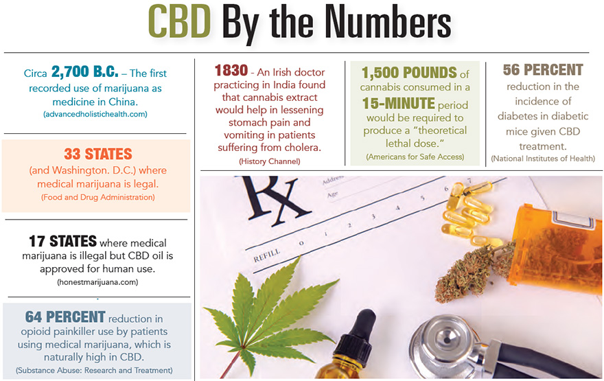 CBD by the Numbers