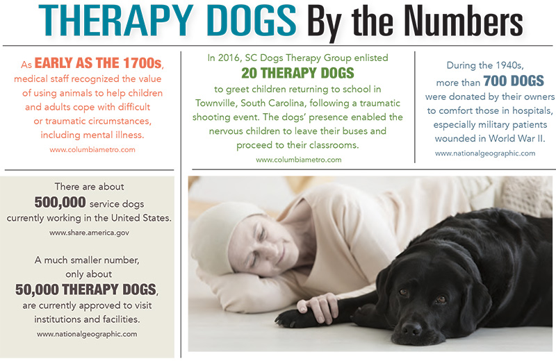 Therapy Dogs by the Numbers