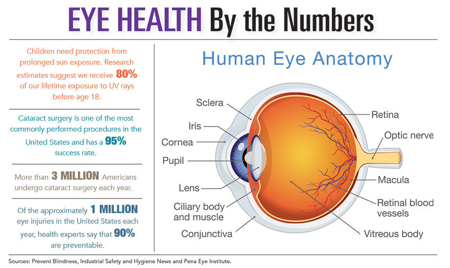 Eye Health by the Numbers