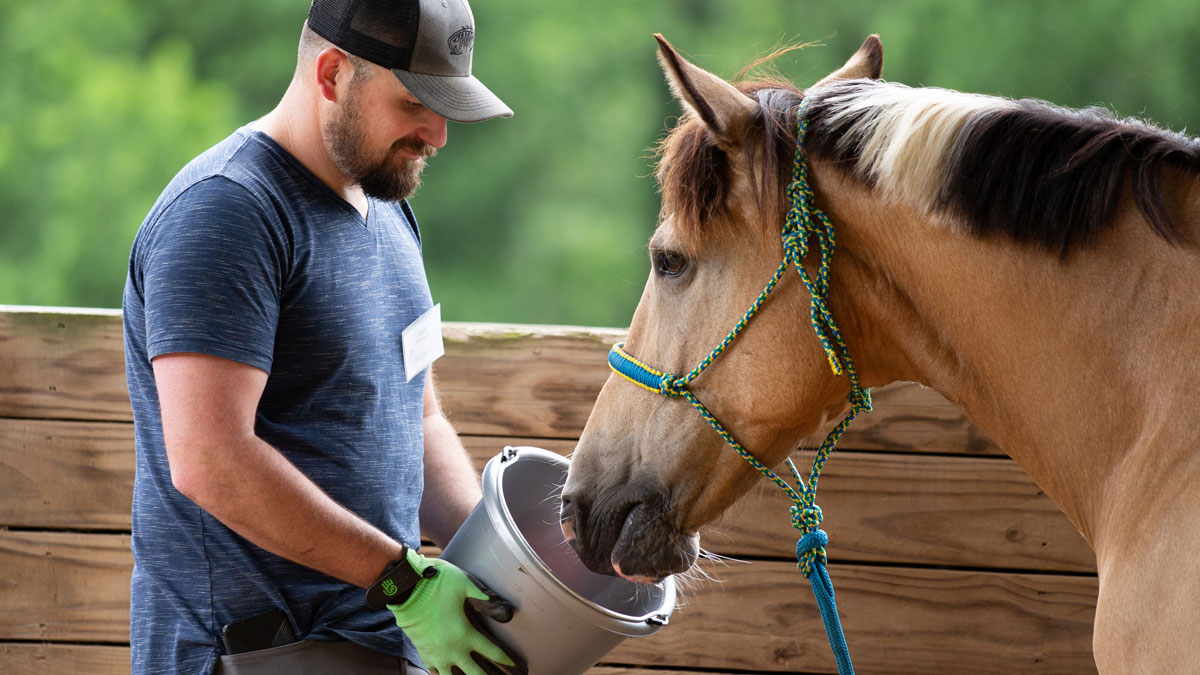 Guiding Reins - Man feeding horse