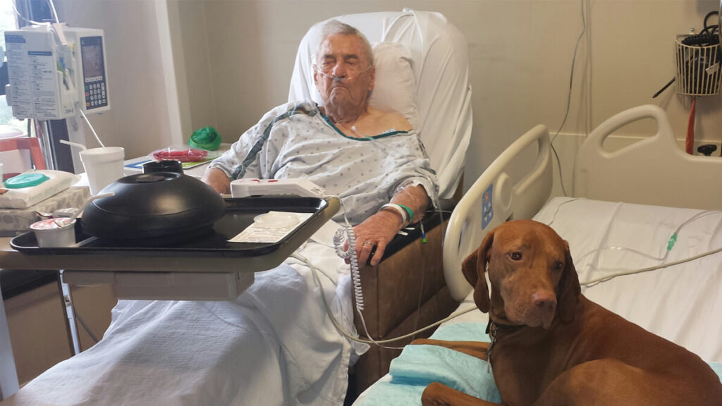 Service dog at the hospital with elderly patient