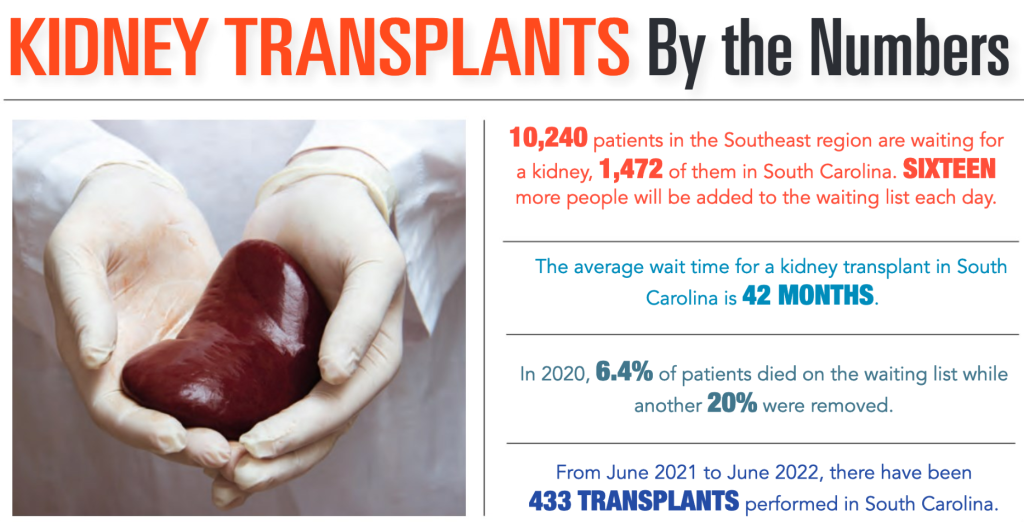 INFOGRAPHIC-kidney-transplants-by-the-numbers