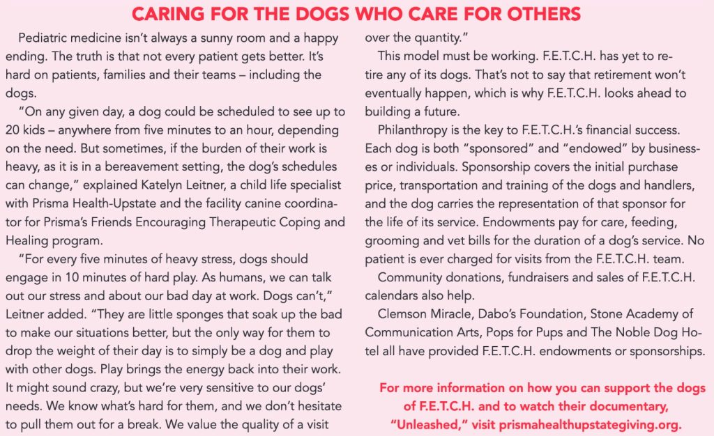 Graphic with information on how to care for the dogs who care for others