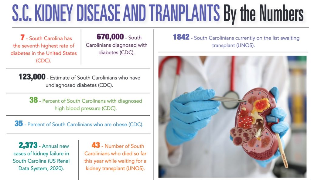 Infographic of SC Kidney Disease and Transplants by the numbers