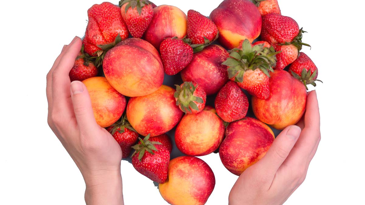 Photo of strawberries and peaches in a hand