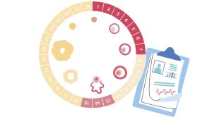 Graphic of a menstrual cycle with a pad of paper