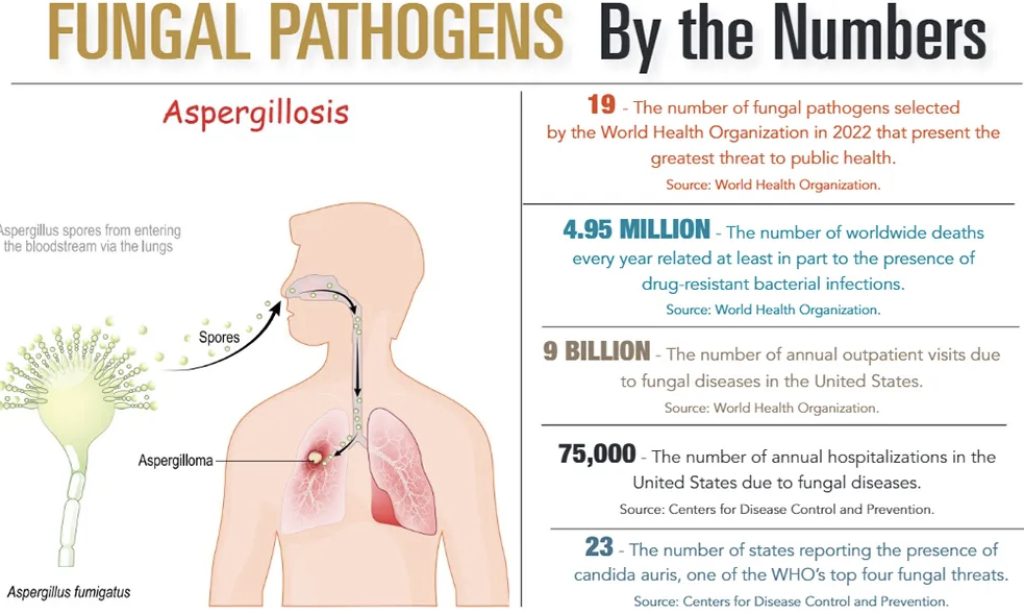 Infographic-Fungal-Pathogens-By-The-Numbers