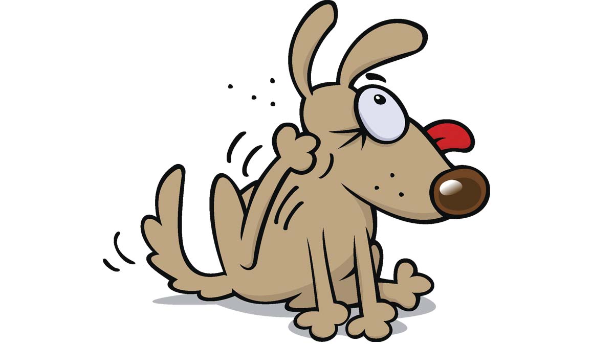 Graphic of a dog who is scratching