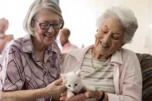 Two older women at Willows of Easley enjoying a visit with a kitten